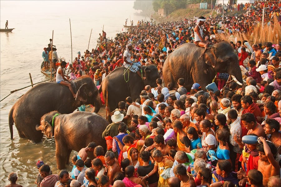 Sonepur Fair (Shikhar Travels India)