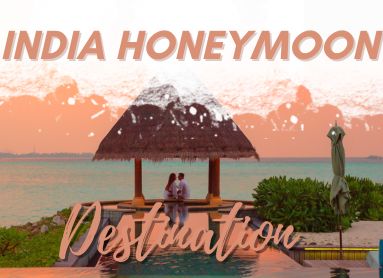 India Honeymoon Tour Special