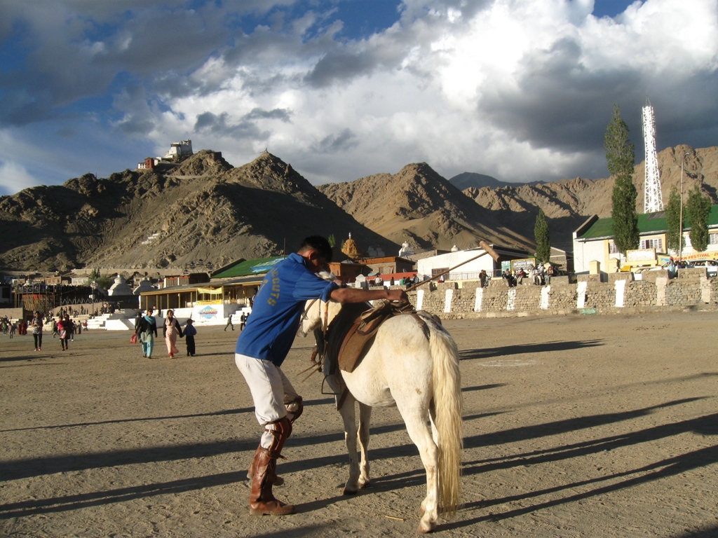 Ladakhi Polo