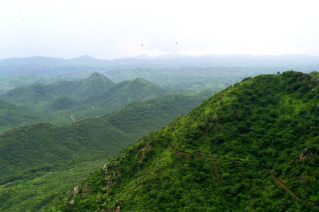 Aravalli Hills Rajasthan