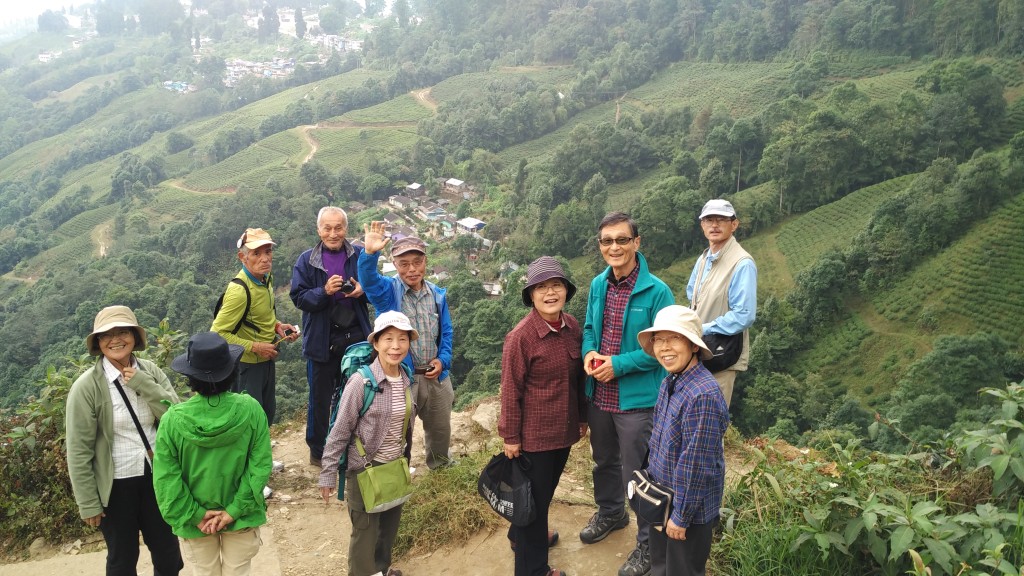 Tea Garden in Darjeeling