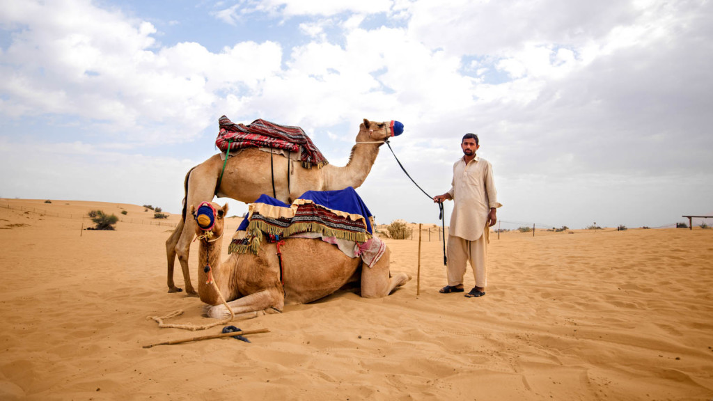 Dubai Desert conservation reserve