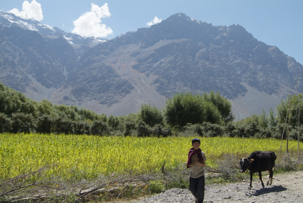 Suru Valley, Ladakh