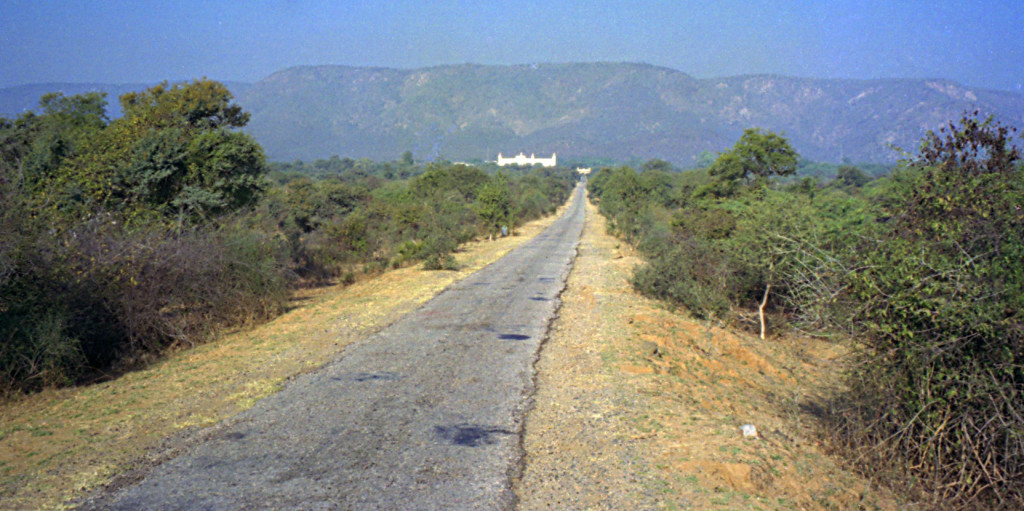 Road to Sariska Palace, Sariska