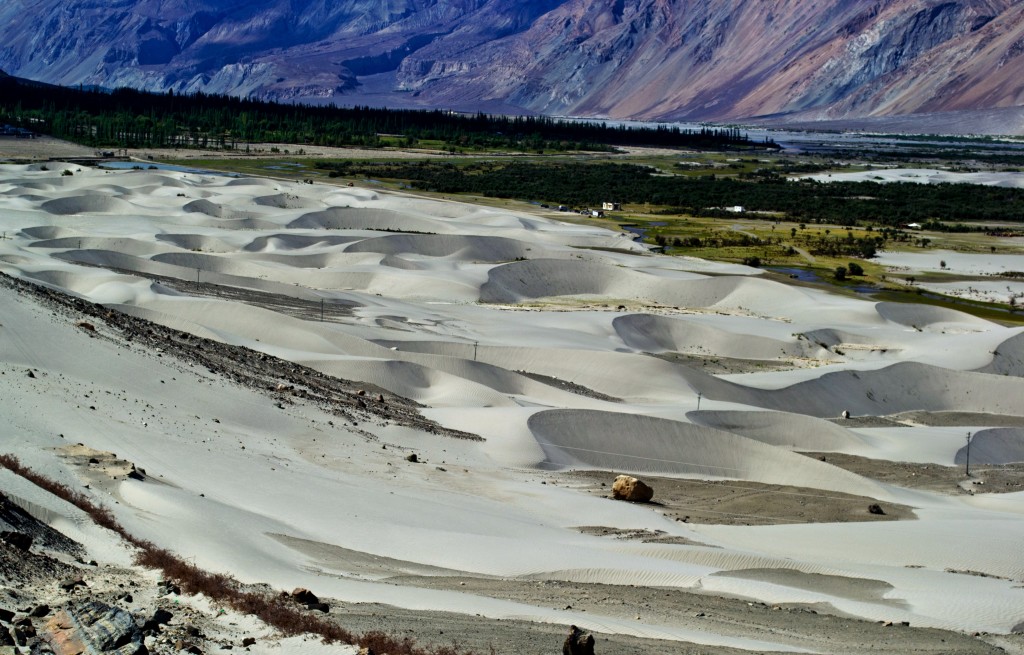 nubra Valley sand dunes