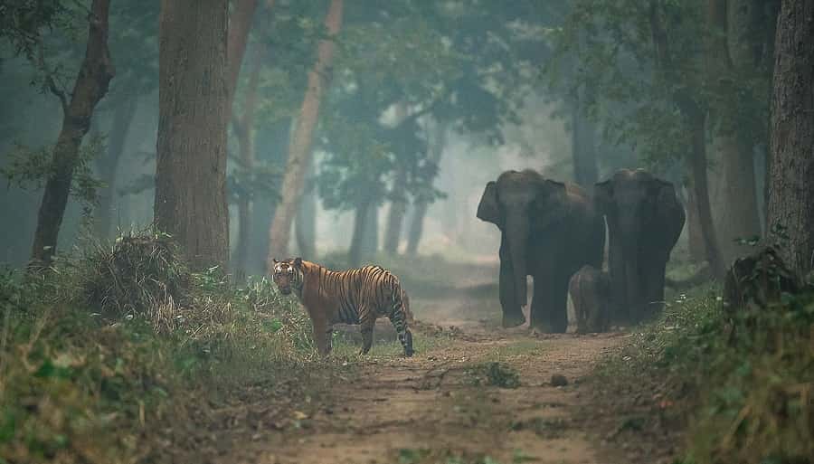 Dudhwa National Park