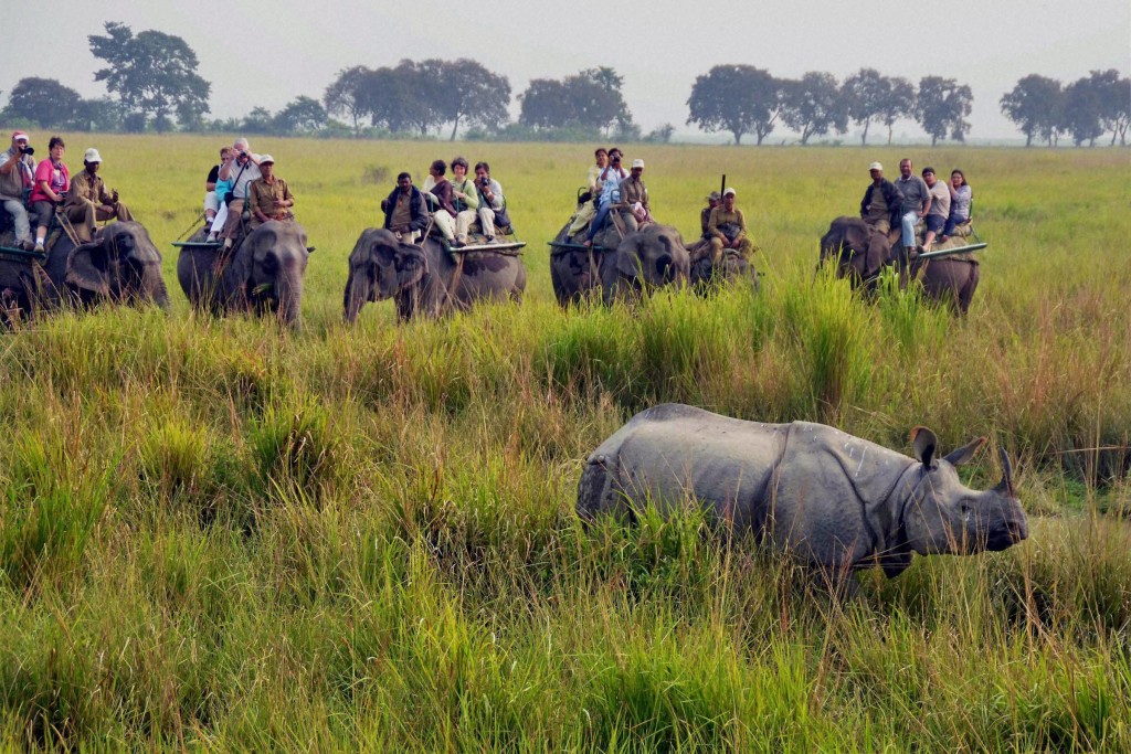 Tourists at Kaziranga National Park