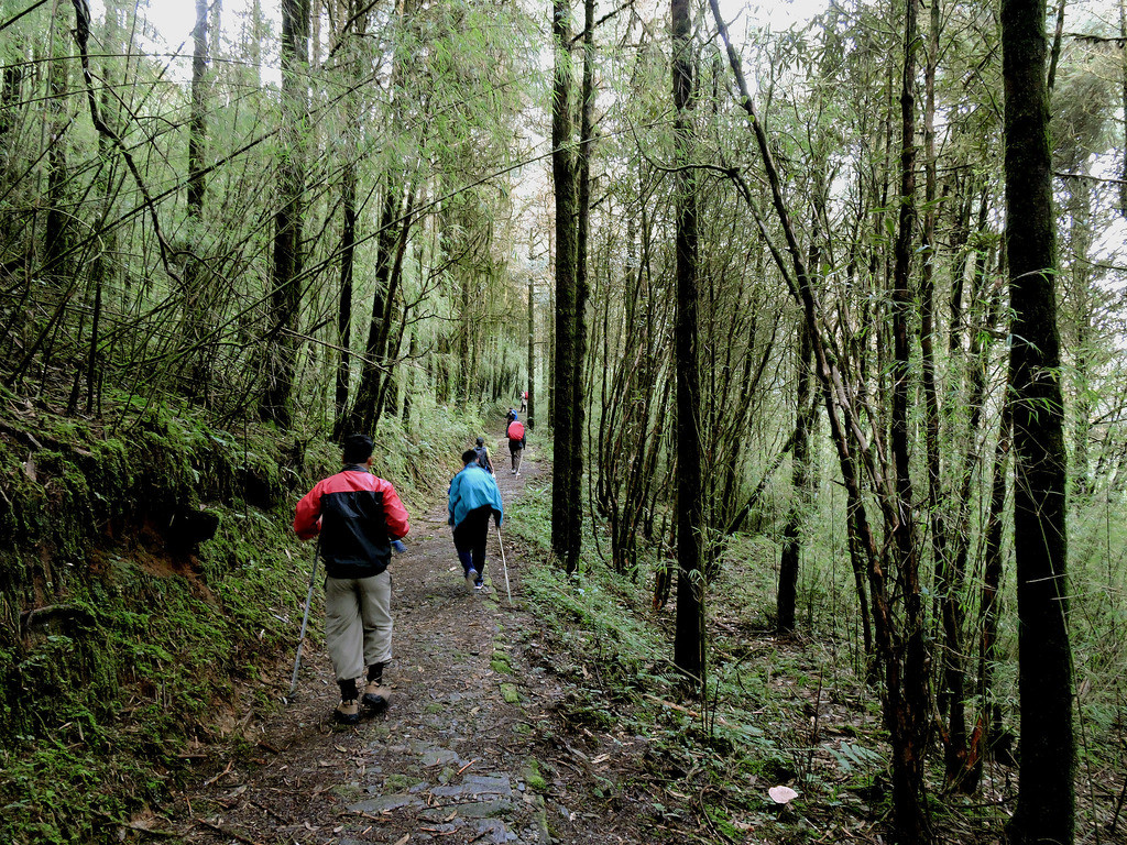 wildlife in Sikkim