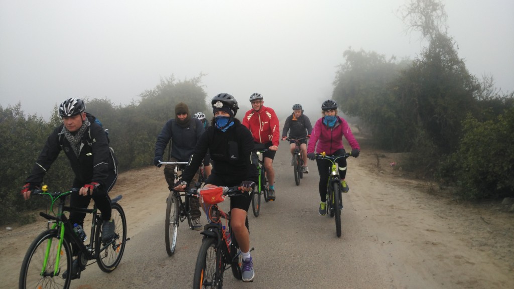 Cycling in Bharatpur Bird Sanctuary