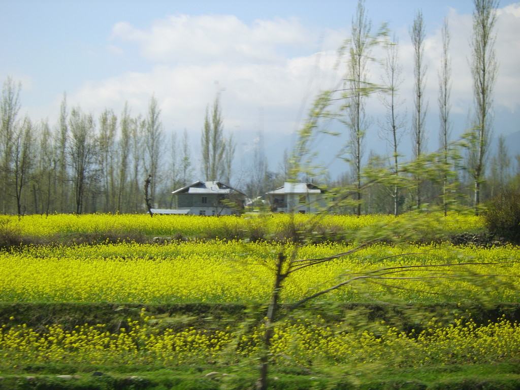 gulmerg, Kashmir