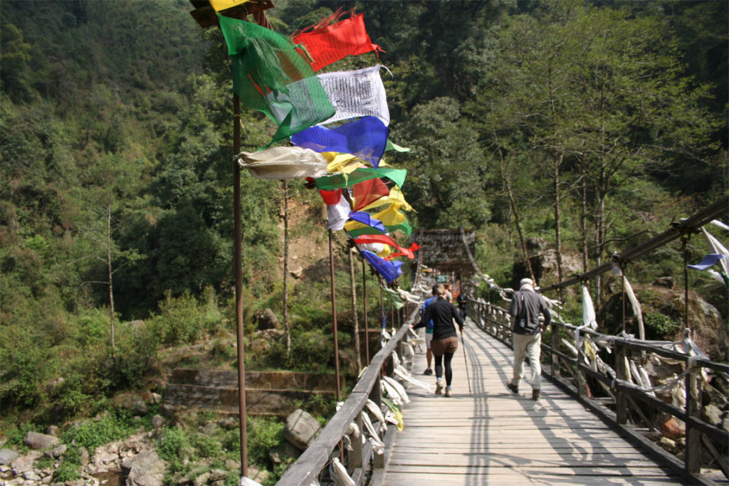 Singalila Ridge Trek