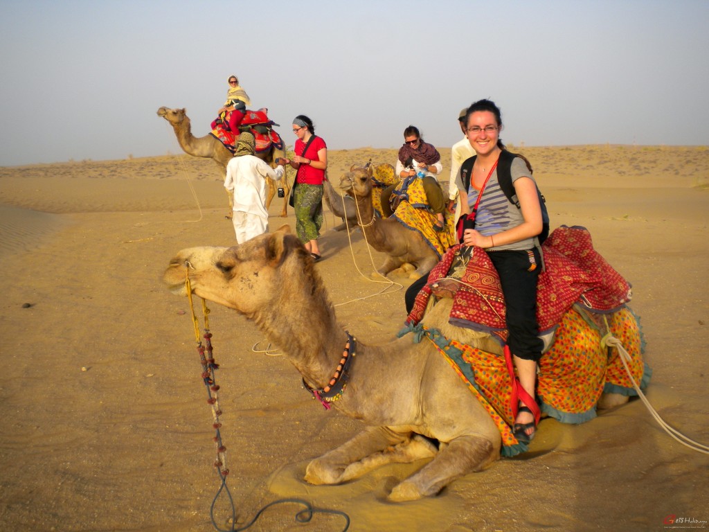 Camel safari in rajasthan