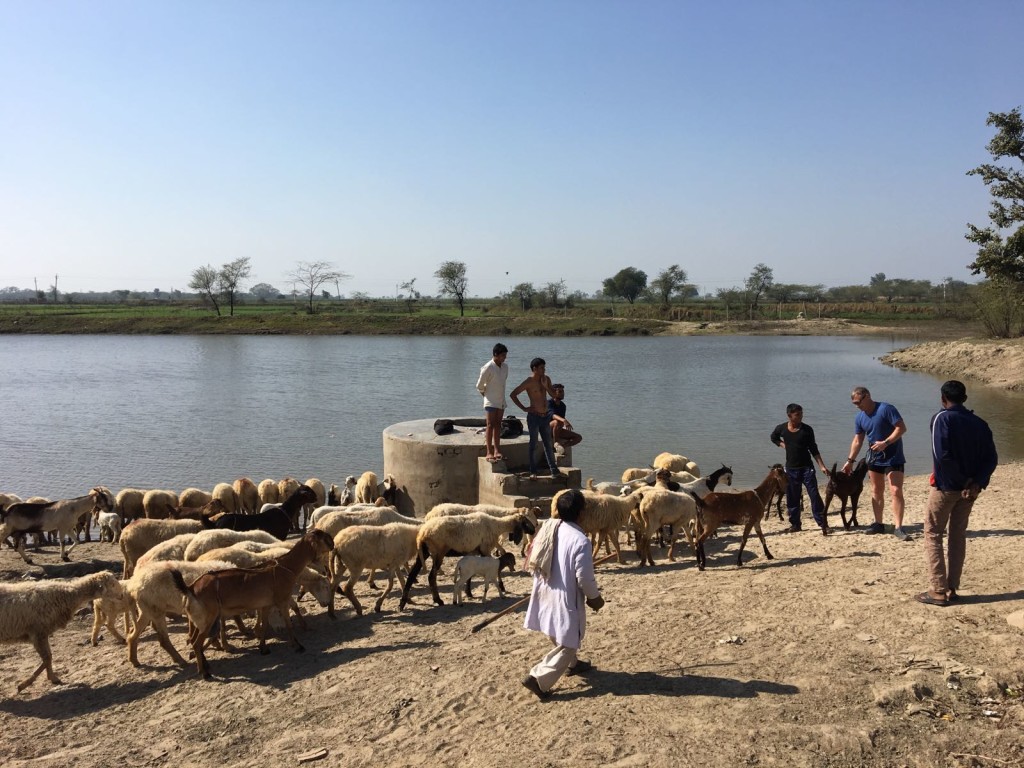 Guest interacting with local poeple during cycling tour in rajasthan