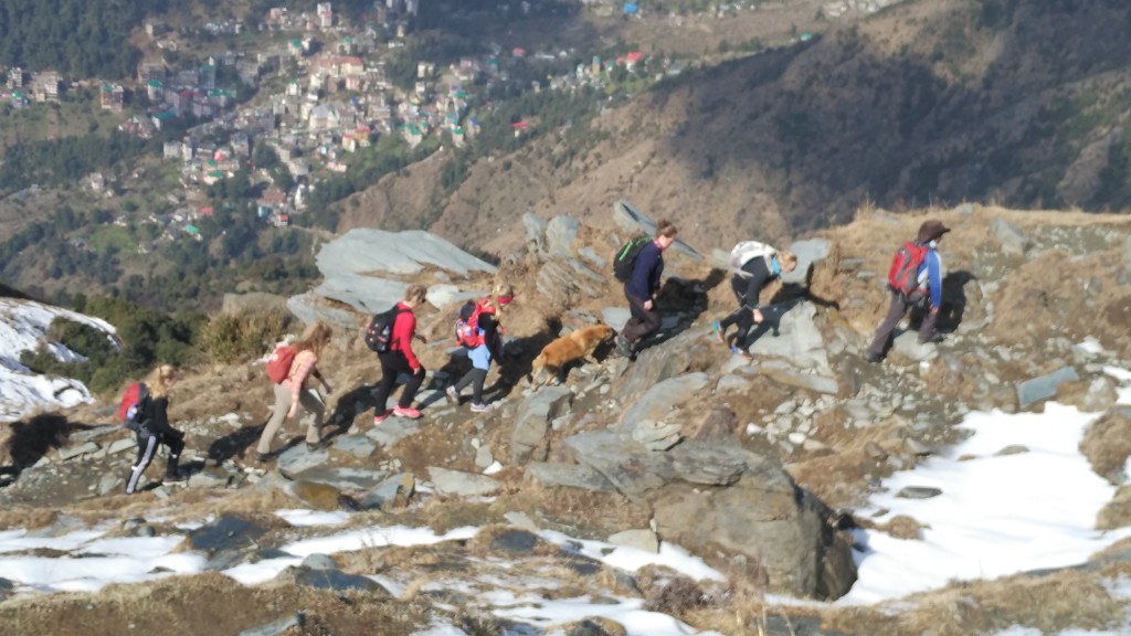 Triund Trek 2017