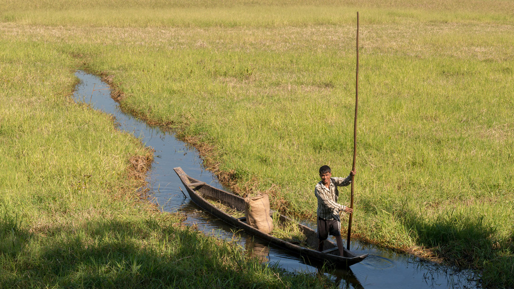 A lonely villager navigates his boat through the wetlands of Majuli Island