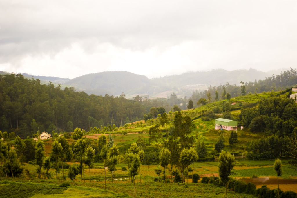 Nilgiri Hills in Kerala