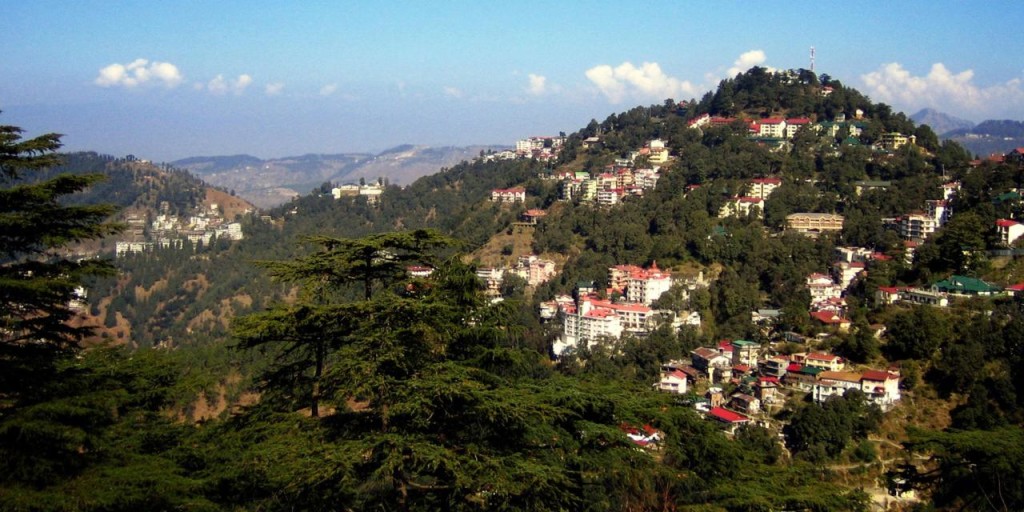 apple farms in himachal