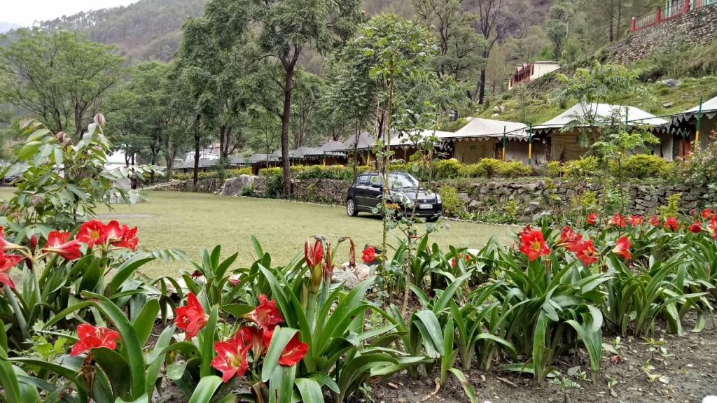 Shikhar Nature Resort, Uttarkashi