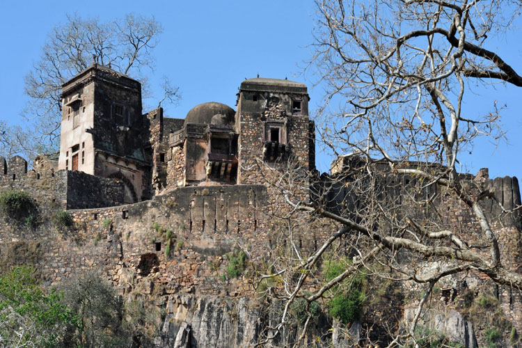 ranthambore-fort-india