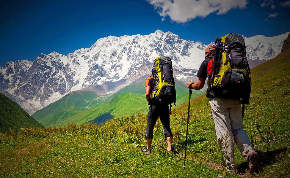 Hiking vs Trekking vs Mountaineering: What's the Difference? 