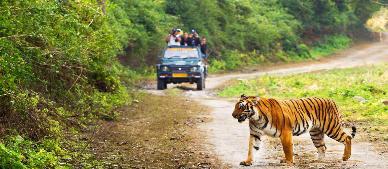 Jim Corbett National Park4