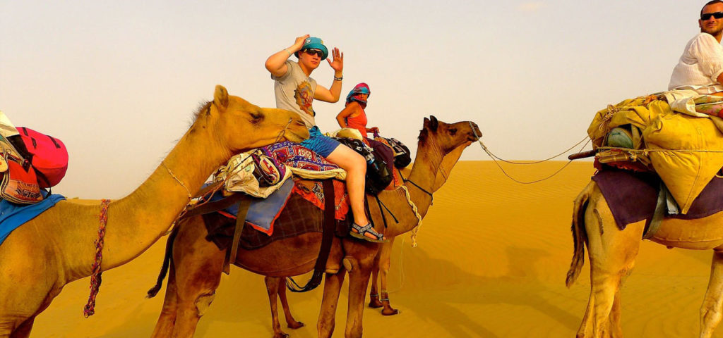 Best Camel Safari in Rajasthan