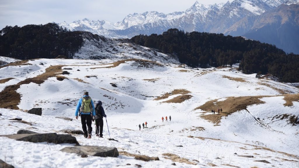 auli to kuari pass trek