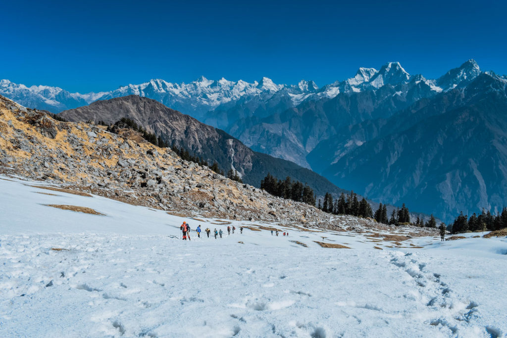 auli to kuari pass trek