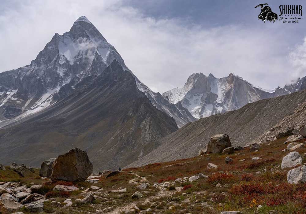 Tapovan-mt shivling - shikhar travels