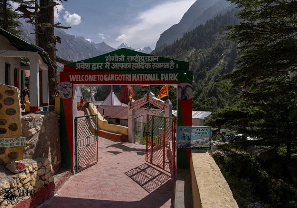 Gangotri national park - shikhar travels1