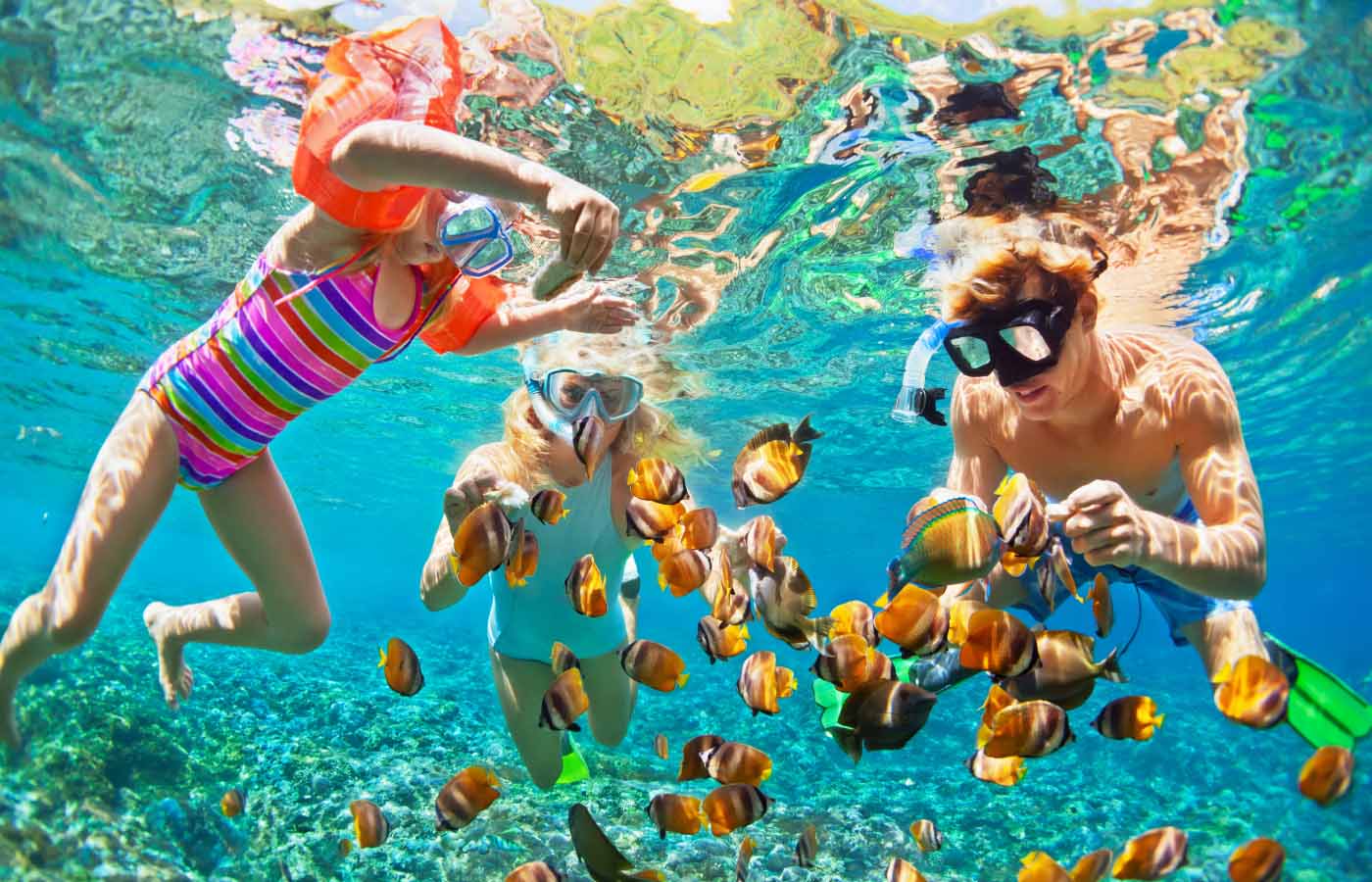 Andaman Snorkeling
