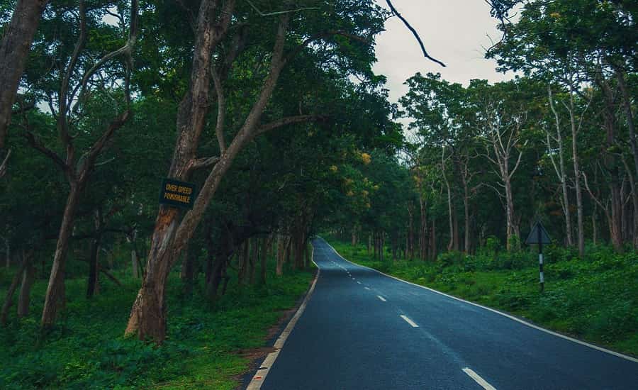 Bangalore to Ooty