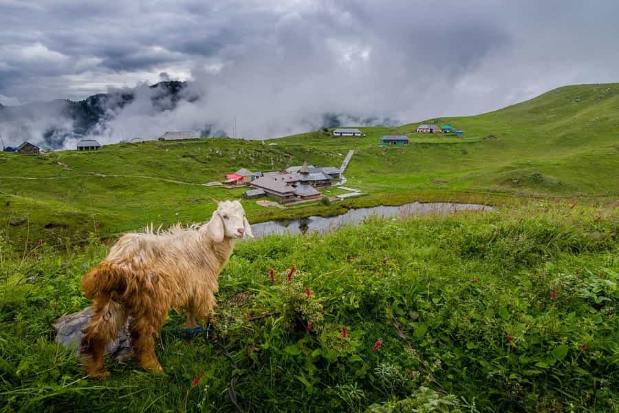 Prashar Lake Trek