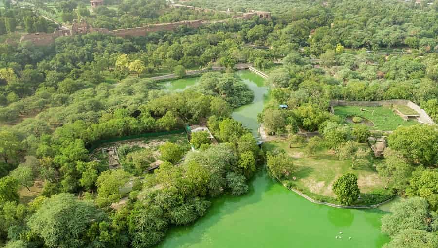 Delhi Zoo