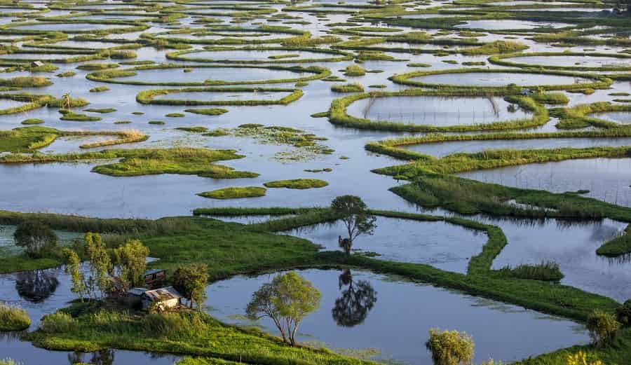 Sightseeing at World’s Only Floating National Park