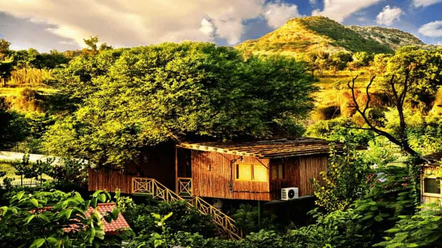 Tree-House Cottages, Delhi