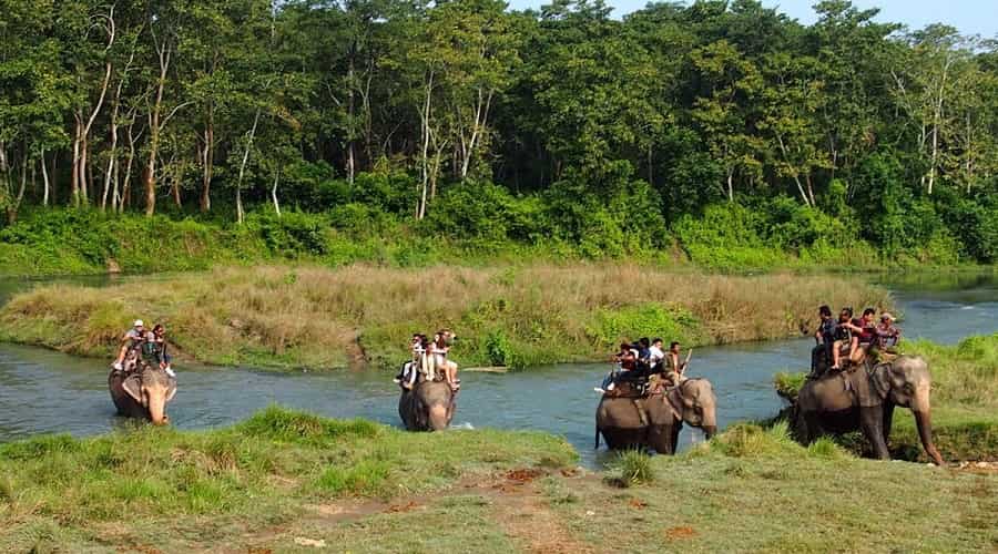 Jungle Safari in Nepal