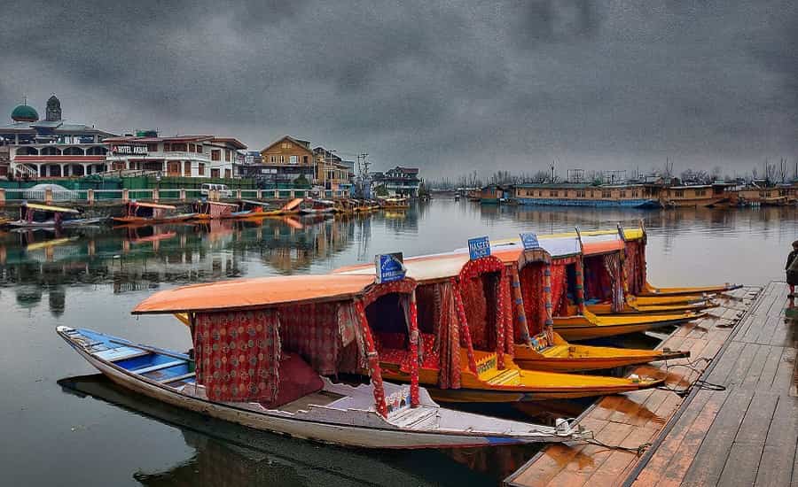 Savor Shikara Ride in Dal Lake