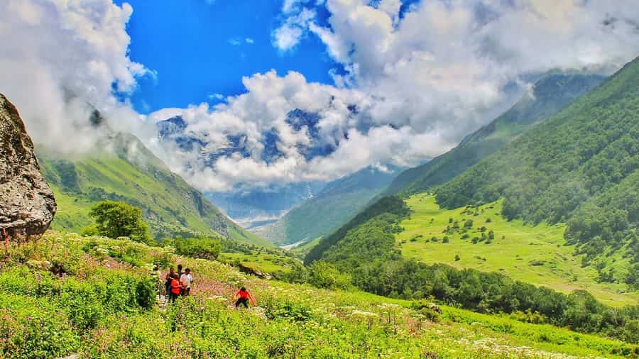 Valley Of Flowers