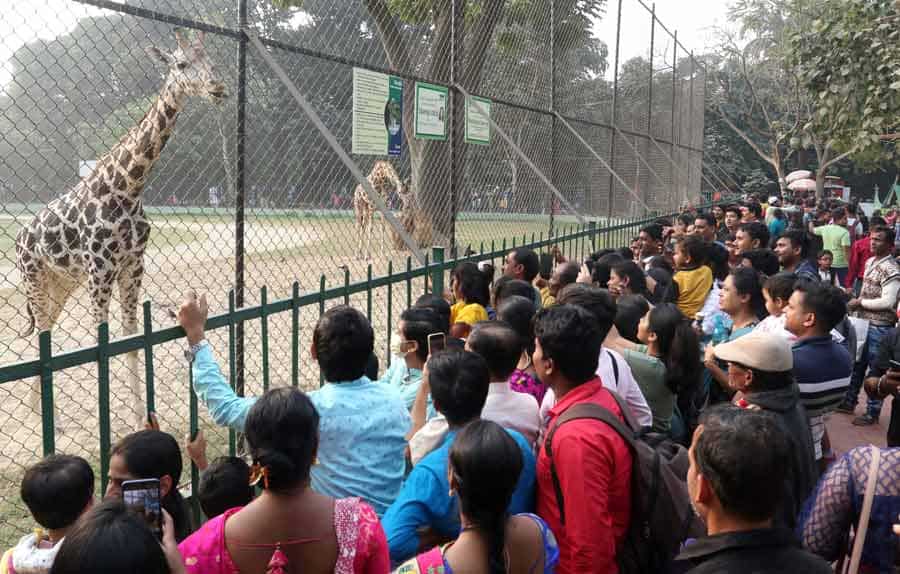 Zoological Garden, Kolkata