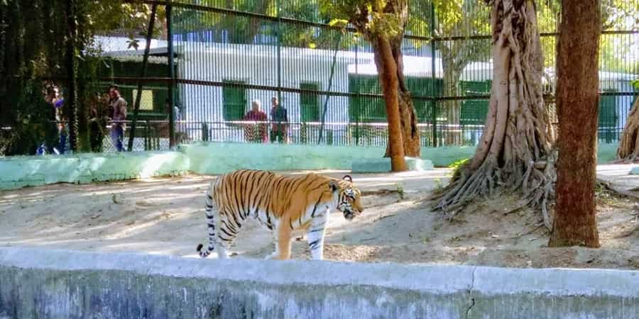 Kamla Nehru Zoo