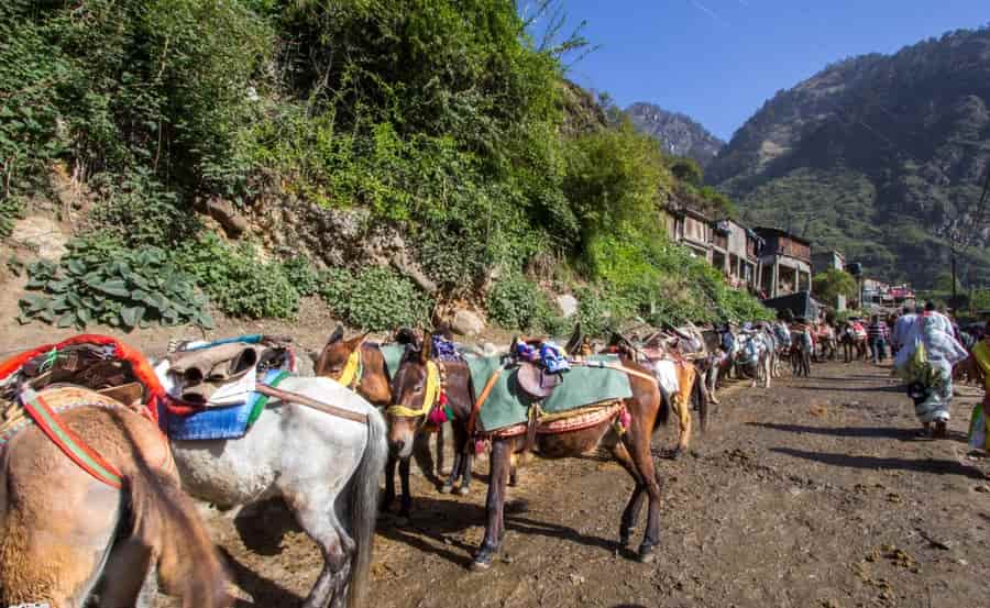 yamunotri trek starts from