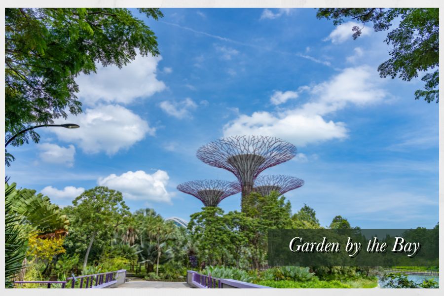 Garden by the Bay - place to visit in Singapore