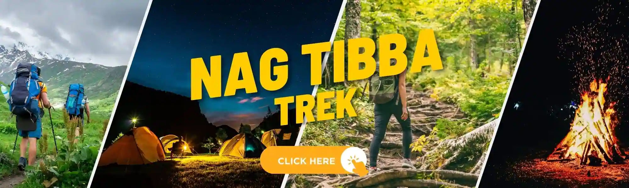 Nag Tibba trek \ Nag Tibba Trek Cost