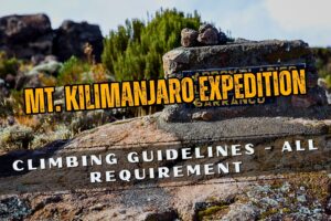 Mount Kilimanjaro Guide