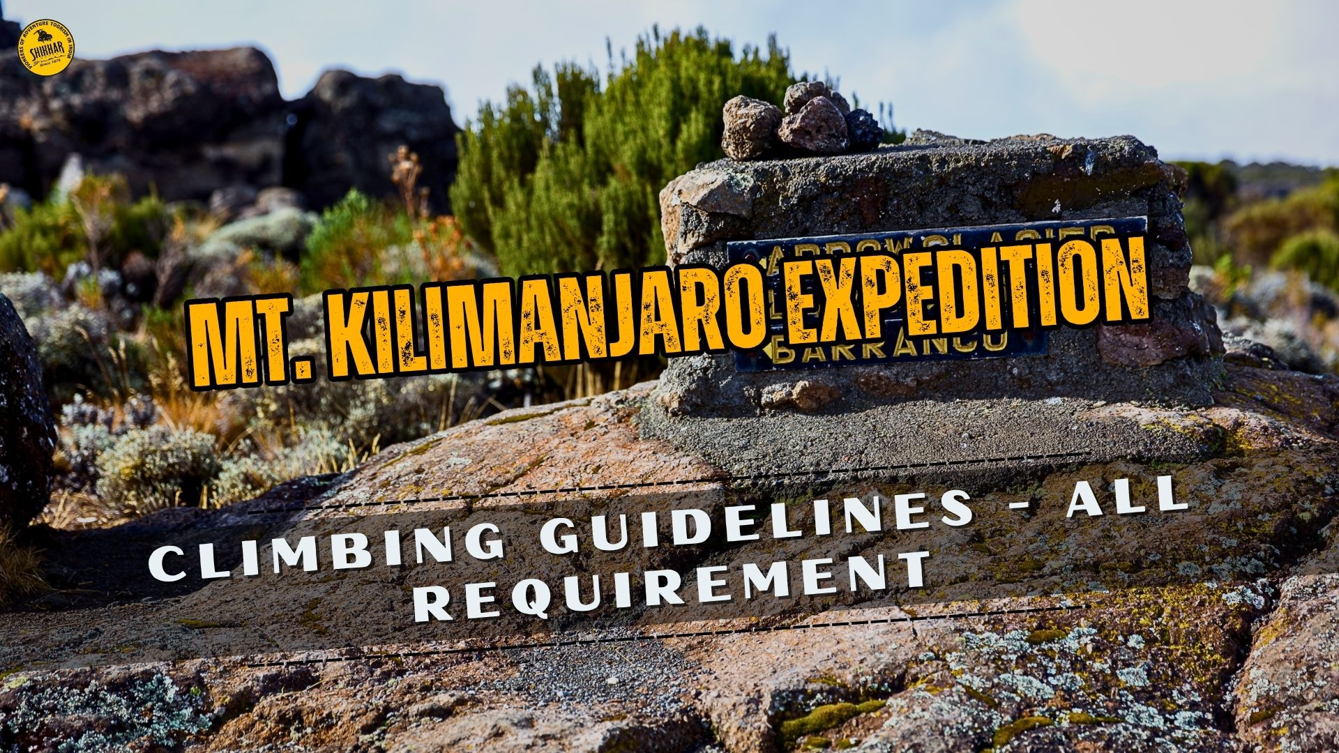 Mount Kilimanjaro Guide