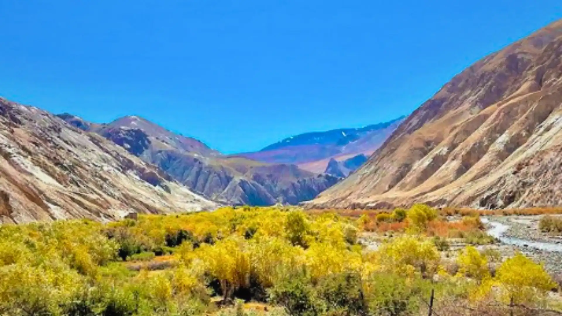 Markha Valley Trek