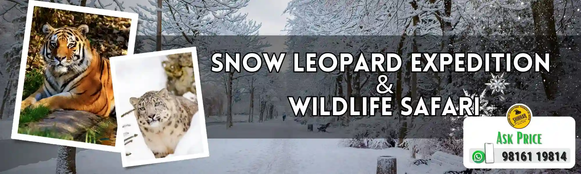 Wildlife Safari & Snow Leopard Expedition