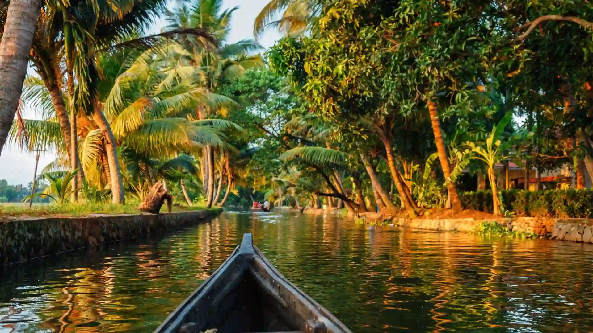 Backwater Kerala