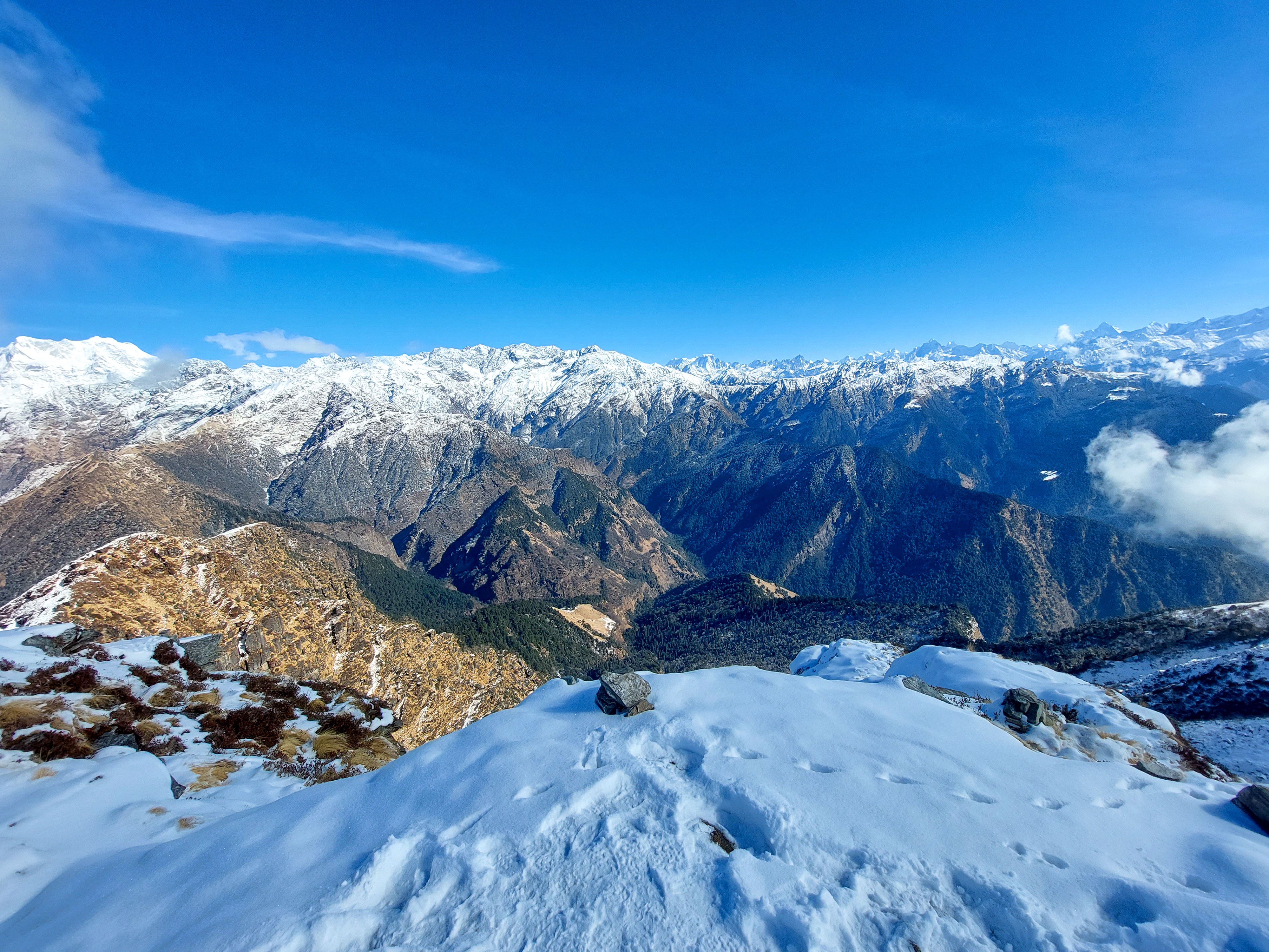 Chandrashila Trek 